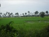 Cambodge (nov-dec 2010) (APN en panne)