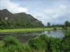 Laos