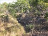 Northern Territory
