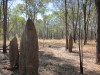 Northern Territory