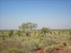 Northern TerritoryNorthern Territory