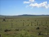 Queensland